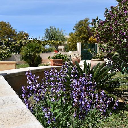 Punta Di Mola Bed & Breakfast Marina di Ragusa Ngoại thất bức ảnh